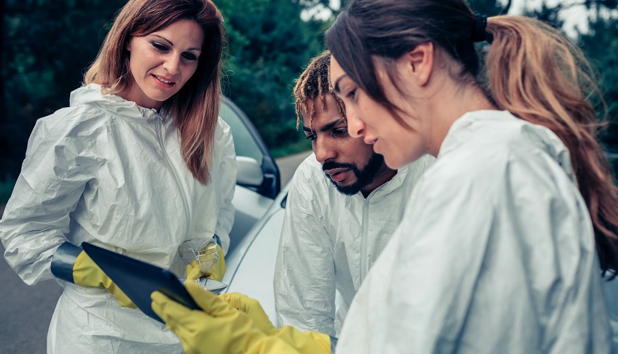 Reviewing Hawx Pest Control – Are They Worth It